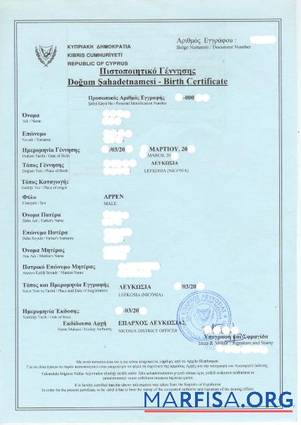 Blank Cyprus Registry of Population birth certificate template